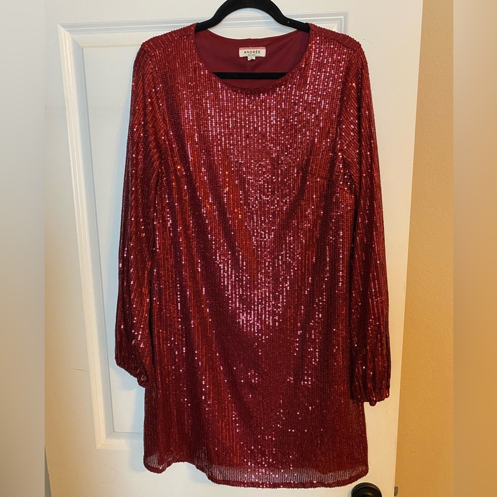 Maroon sequin boutique dress